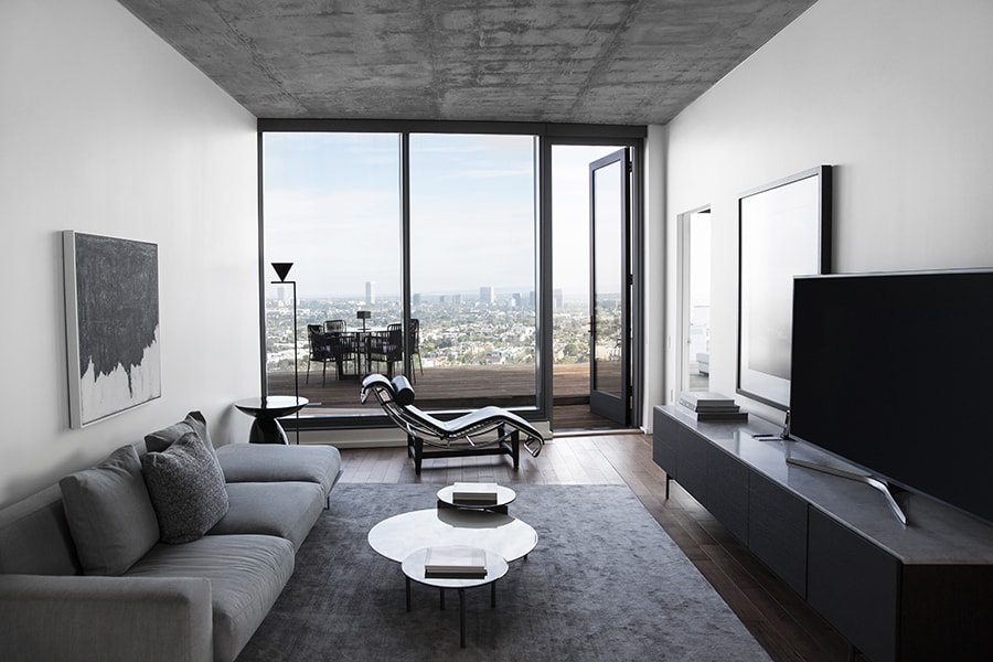 Penthouse Living Room and Outdoor Terrace