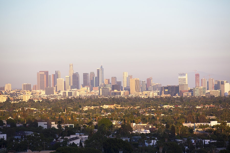 “Hollywood Skyline during Day